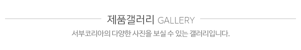서부코리아_갤러리타이틀_
